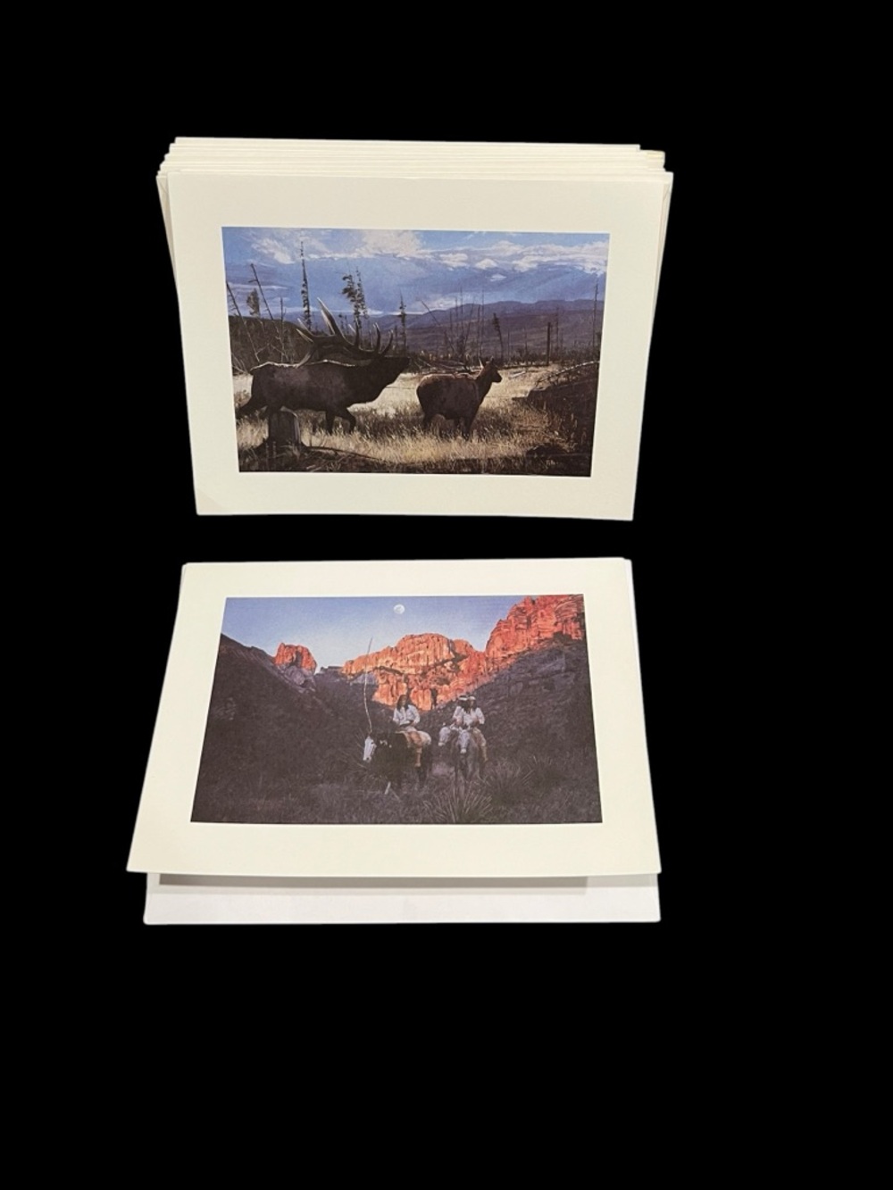 Ragan Gennusa Notecards Apache Moon Call of Vermejo Artist Stationary Elk Horses